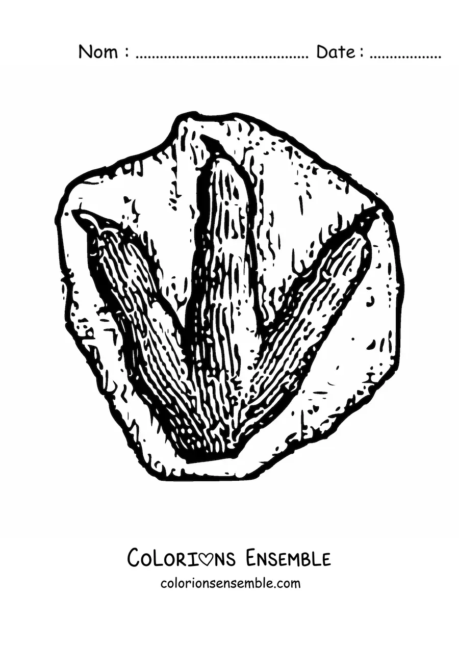 Image à colorier d’une empreinte de dinosaure
