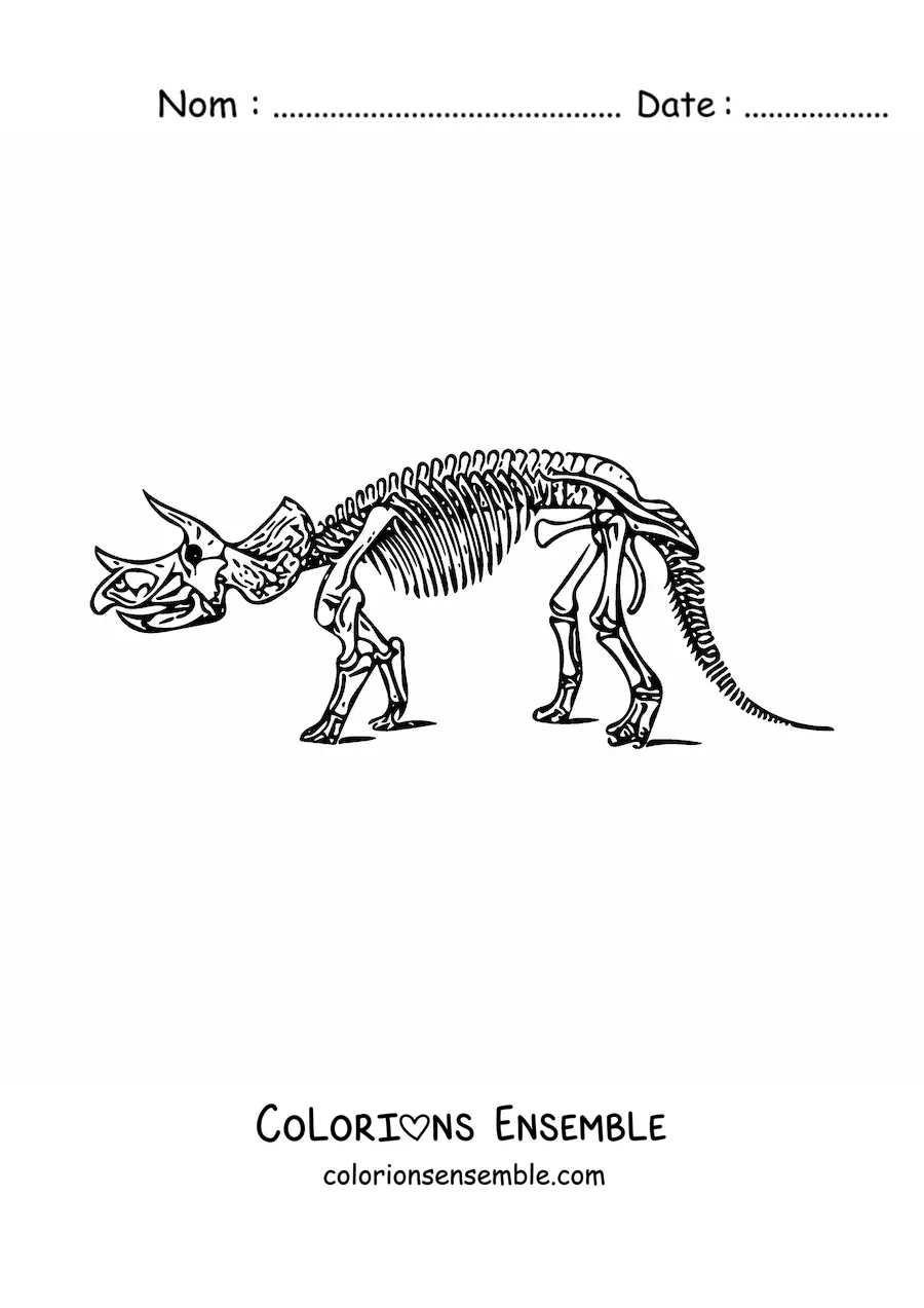 Image à colorier d’un squelette de tricératops