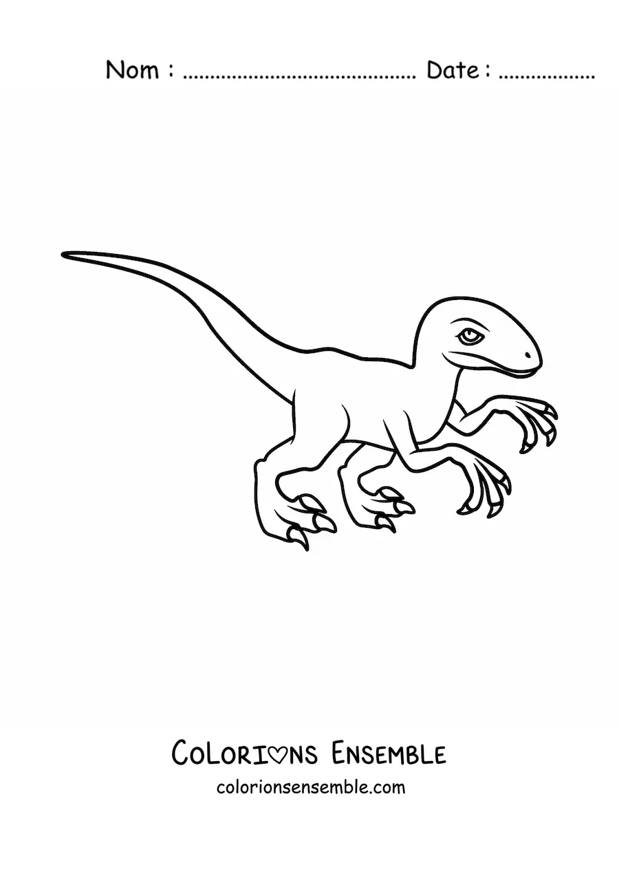 Image à colorier facile d’un vélociraptor