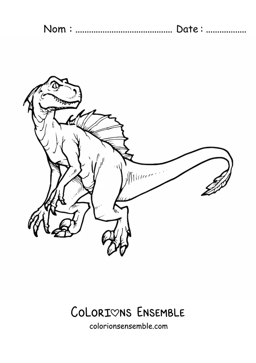 Image à colorier d’un grand vélociraptor