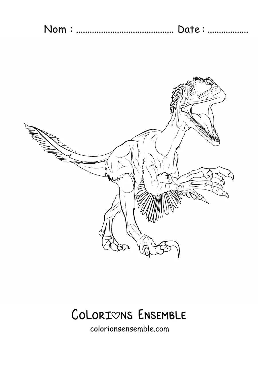 Image à colorier d’un deinonychus carnivore