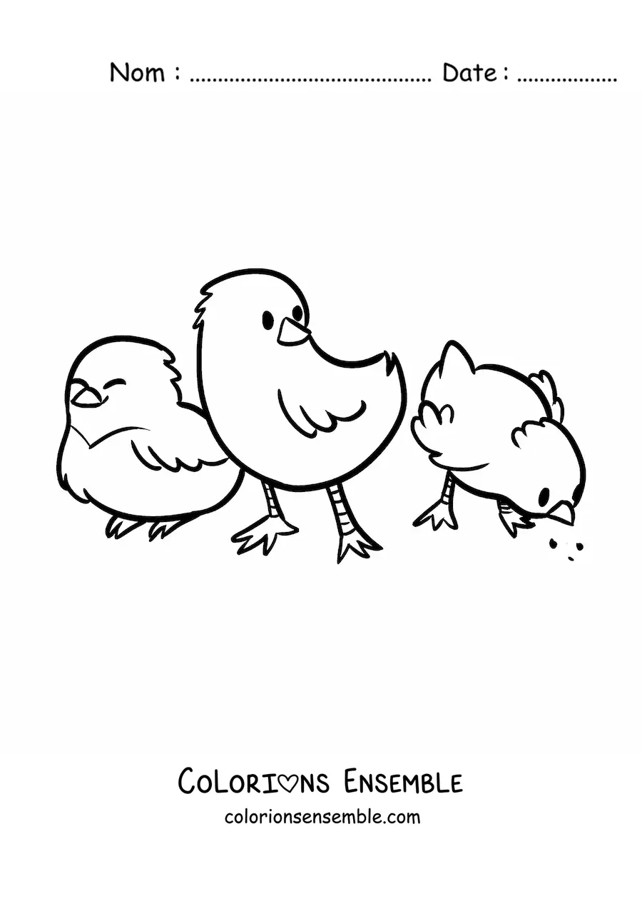 Coloriage de 3 poussins kawaii en train de manger