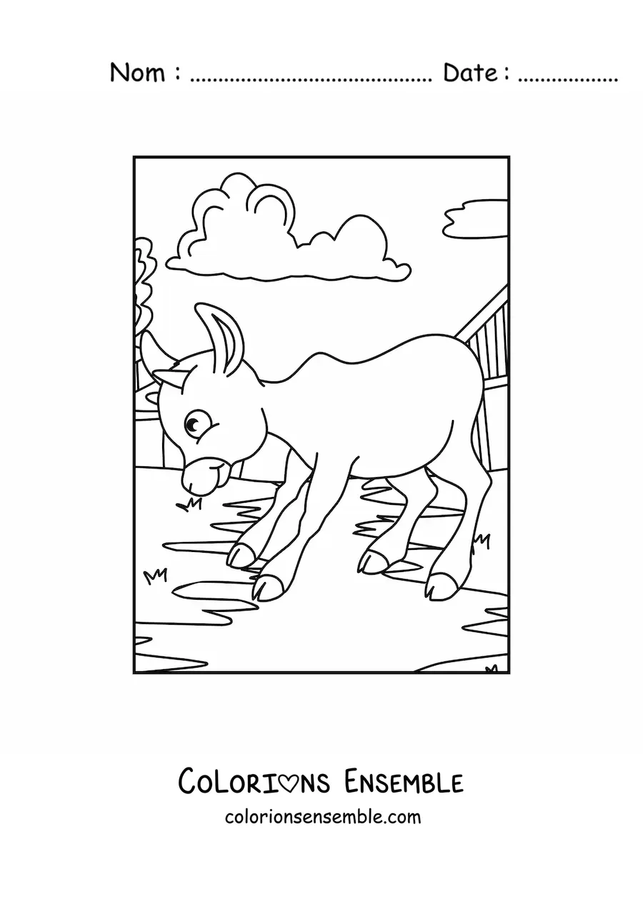 Coloriage d’un veau animé à la ferme