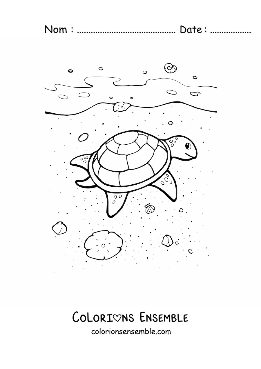 Coloriage d'une tortue à la plage