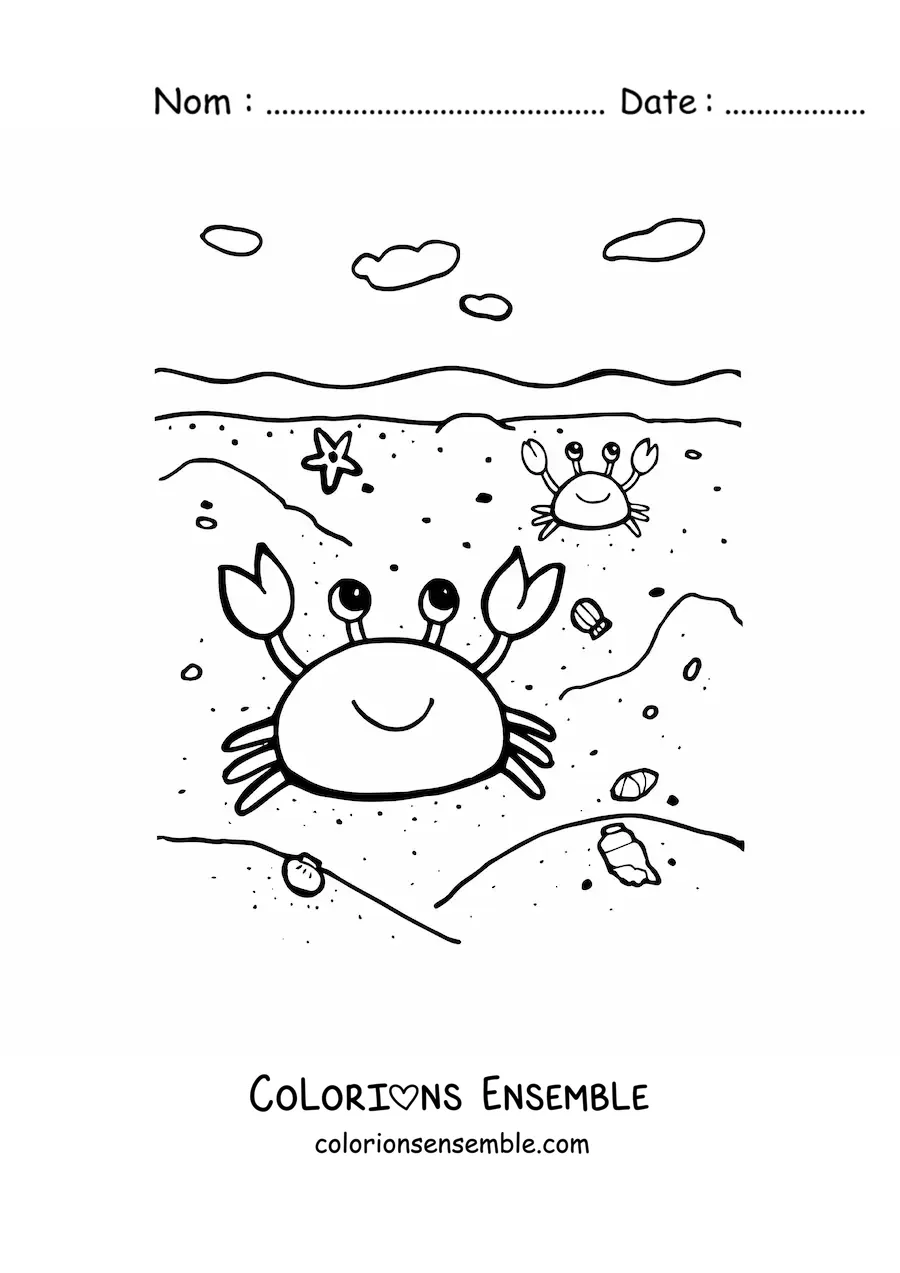 Coloriage de crabes au bord de la plage