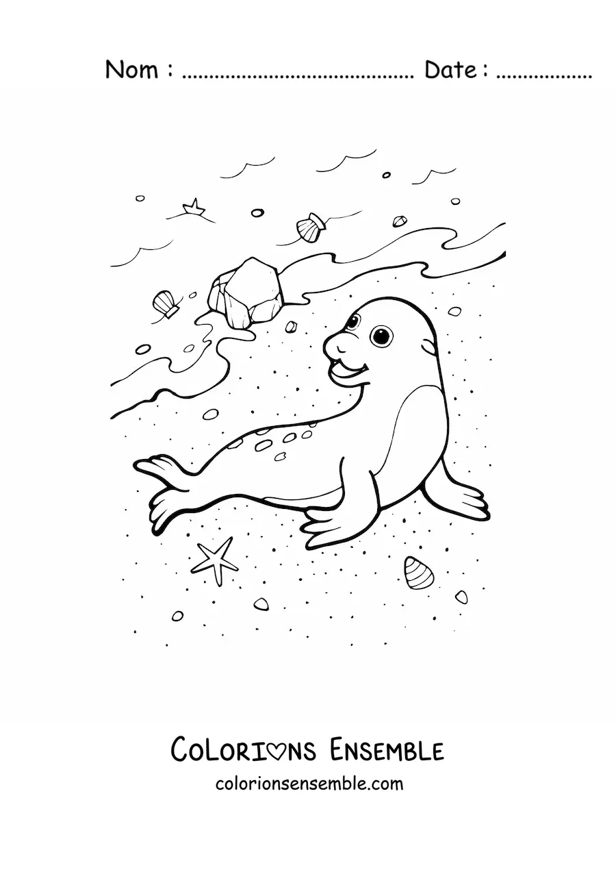 Coloriage d'un phoque au bord de la plage