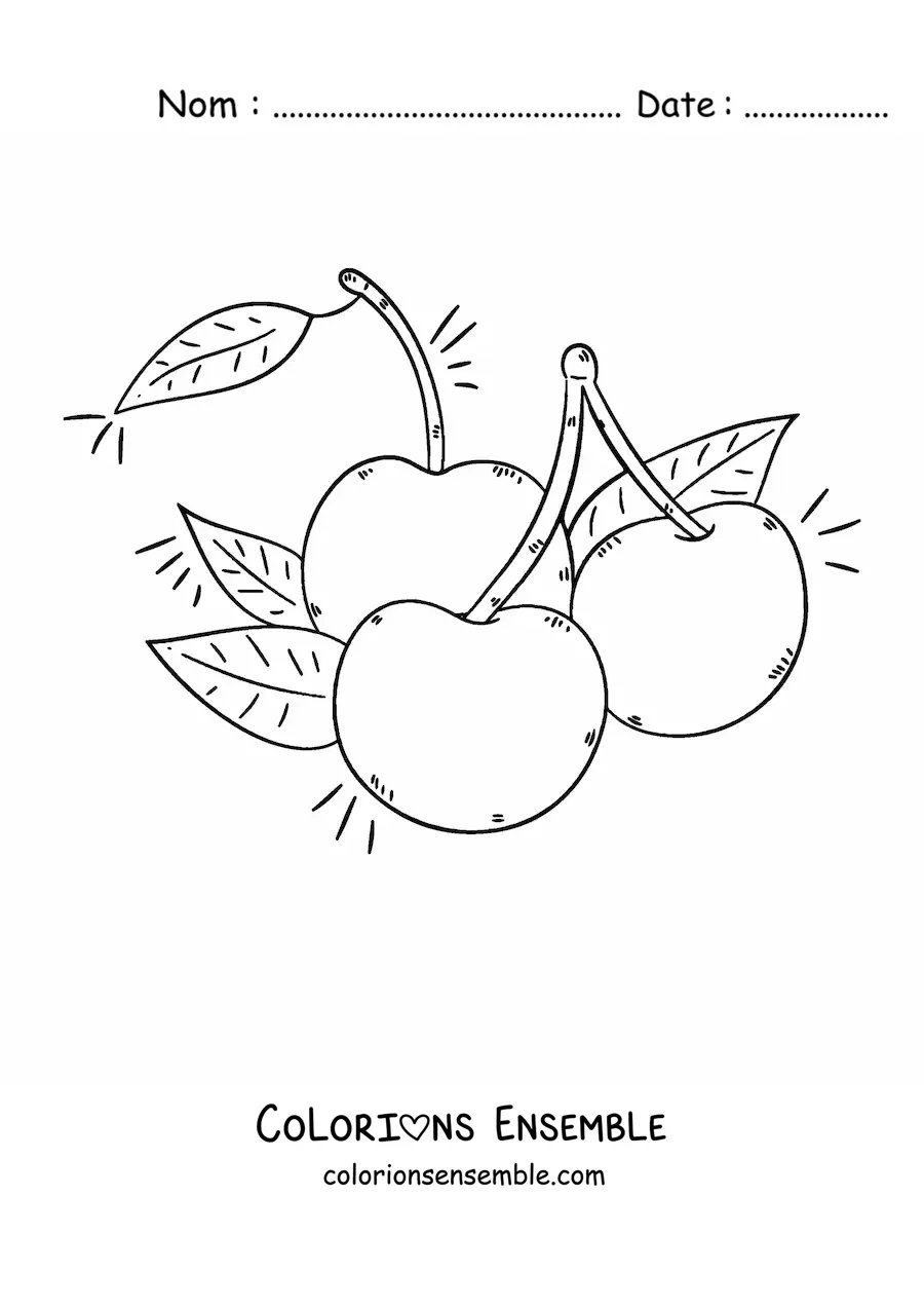 Image à colorier de trois cerises avec leurs feuilles