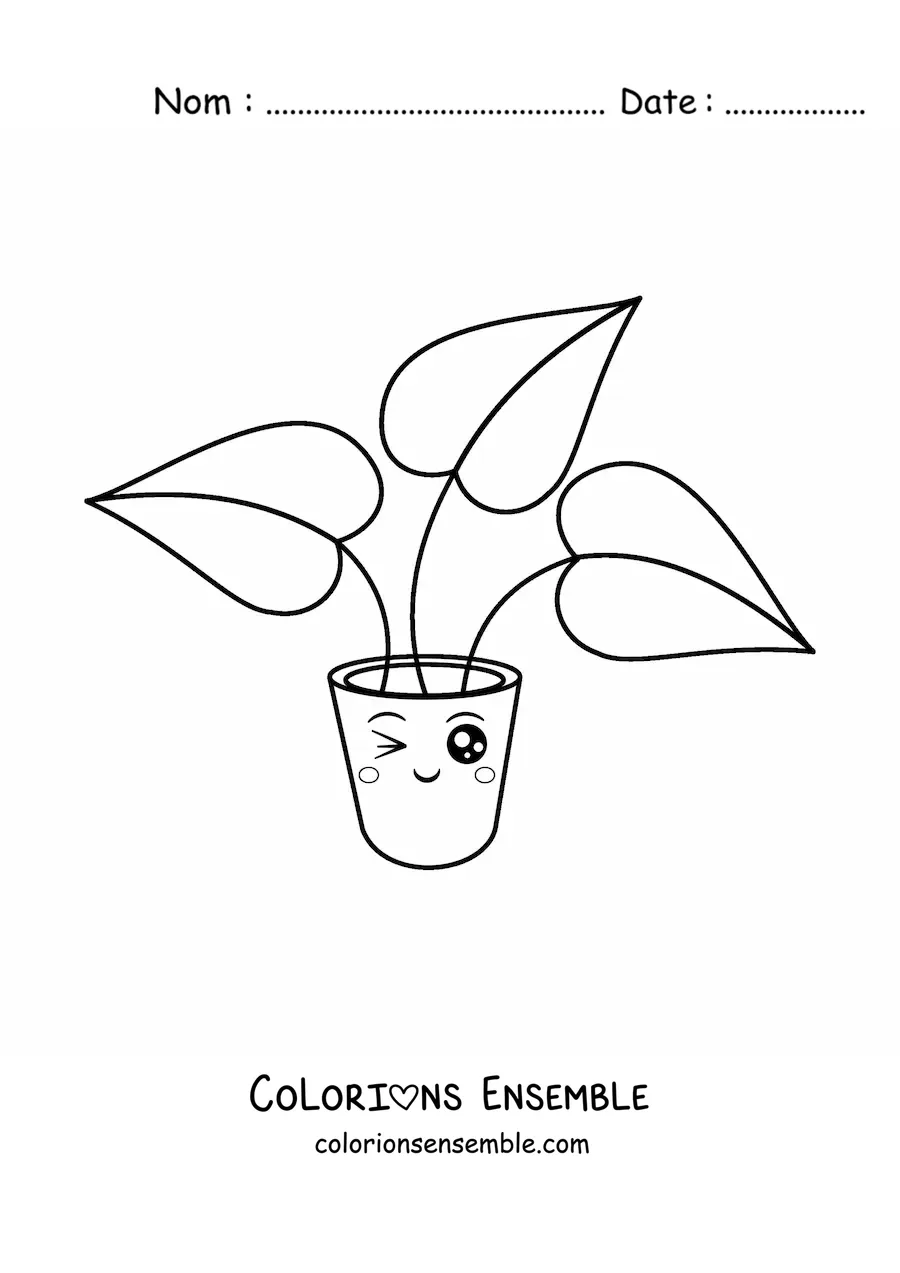Image à colorier d'une tendre plante à grandes feuilles dans un pot