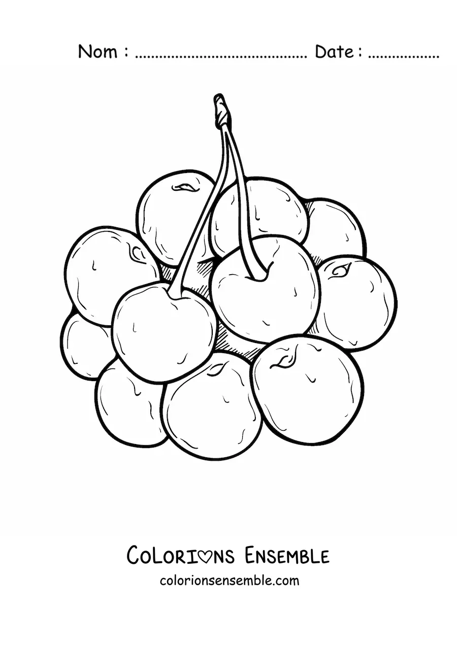 Image à colorier d'une grappe de cerises