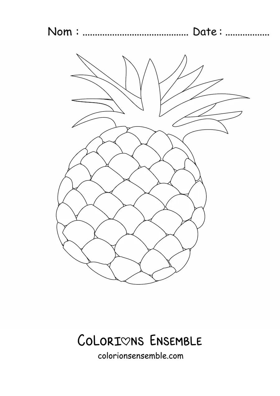 Image à colorier d'un ananas