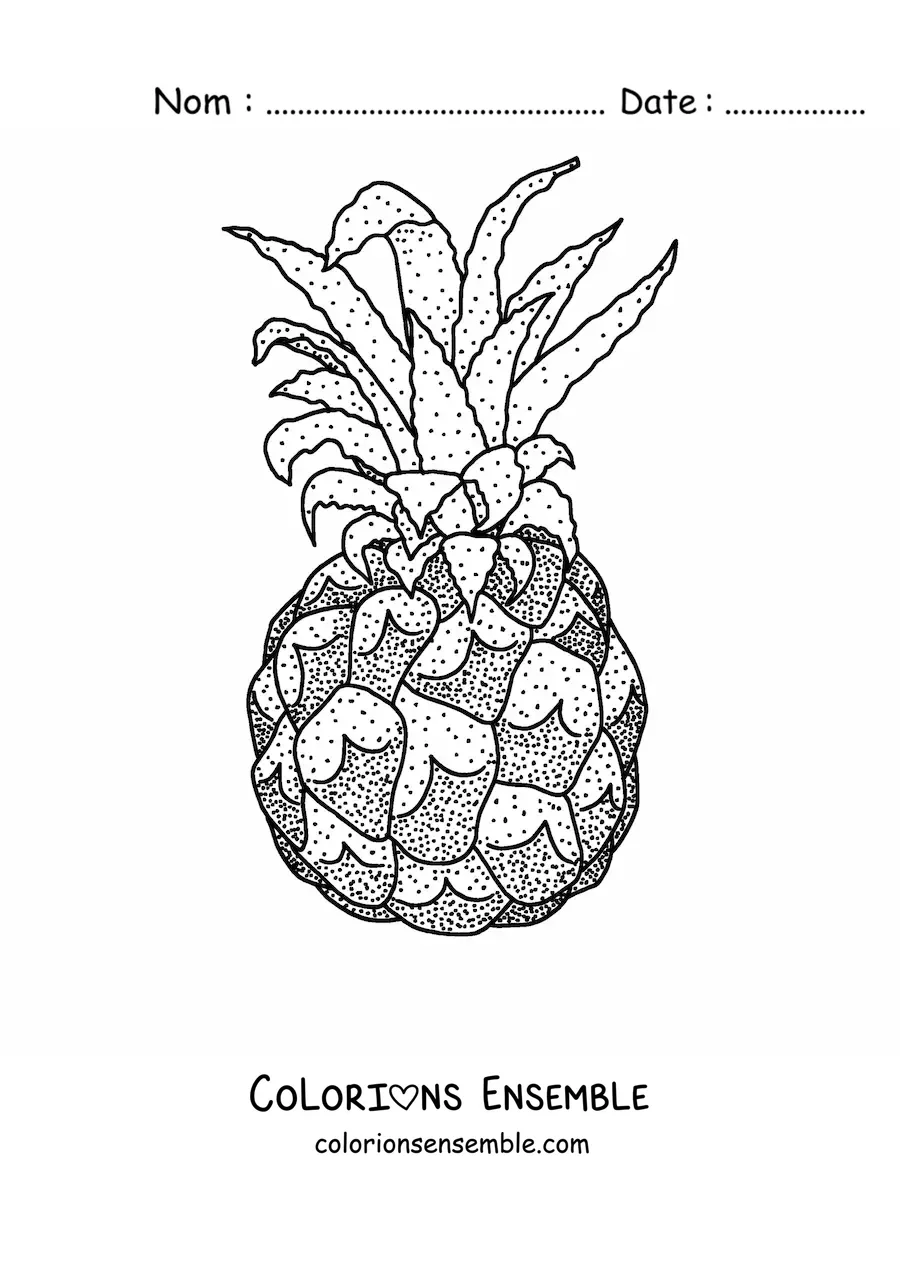 Image à colorier d'un ananas