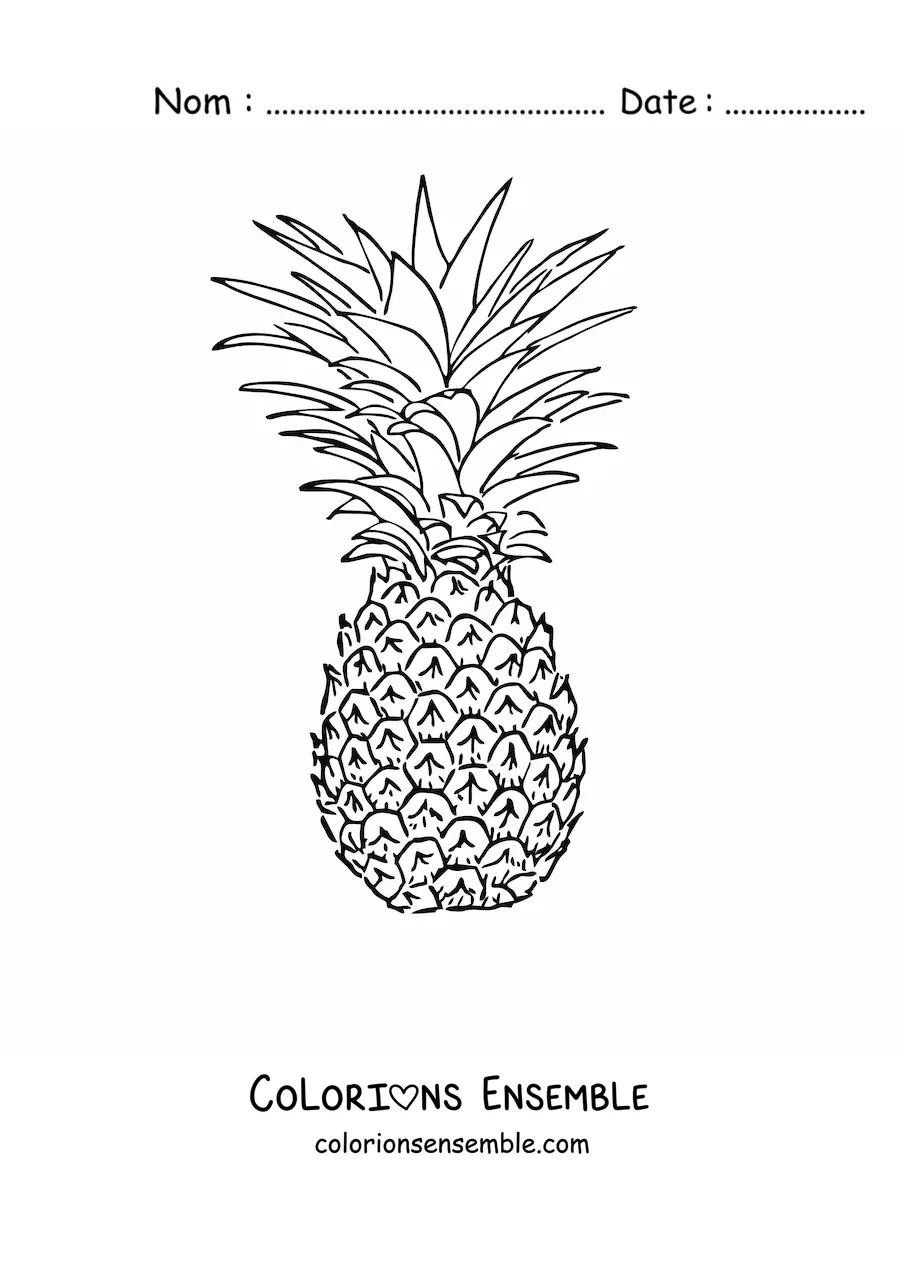 Image à colorier d'un ananas