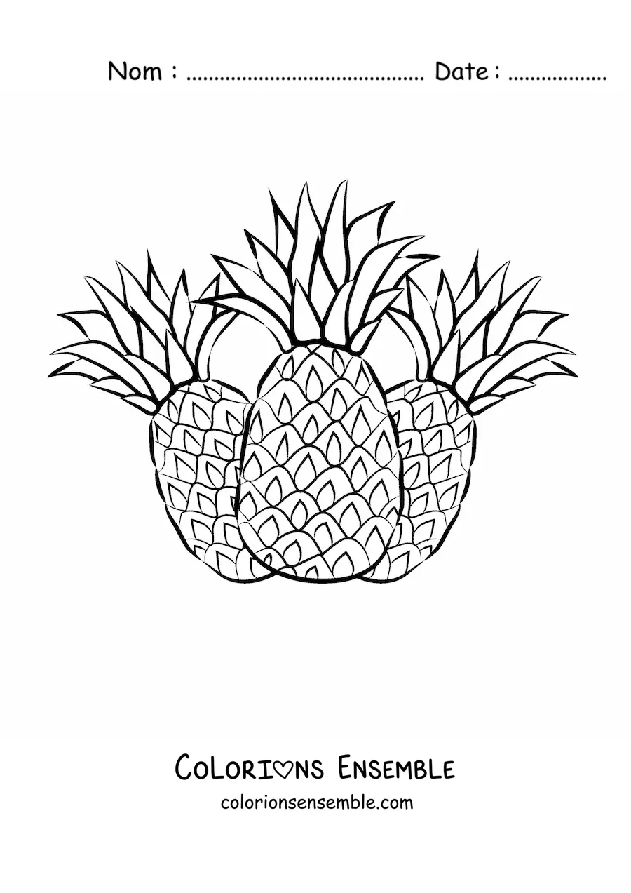 Image à colorier de trois ananas