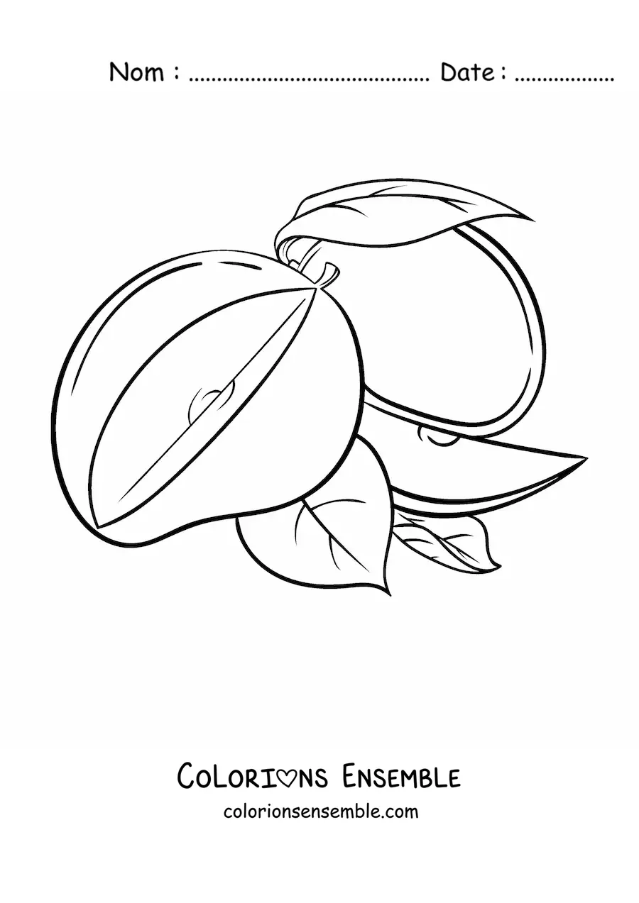 Image à colorier d'une mangue coupée en tranches