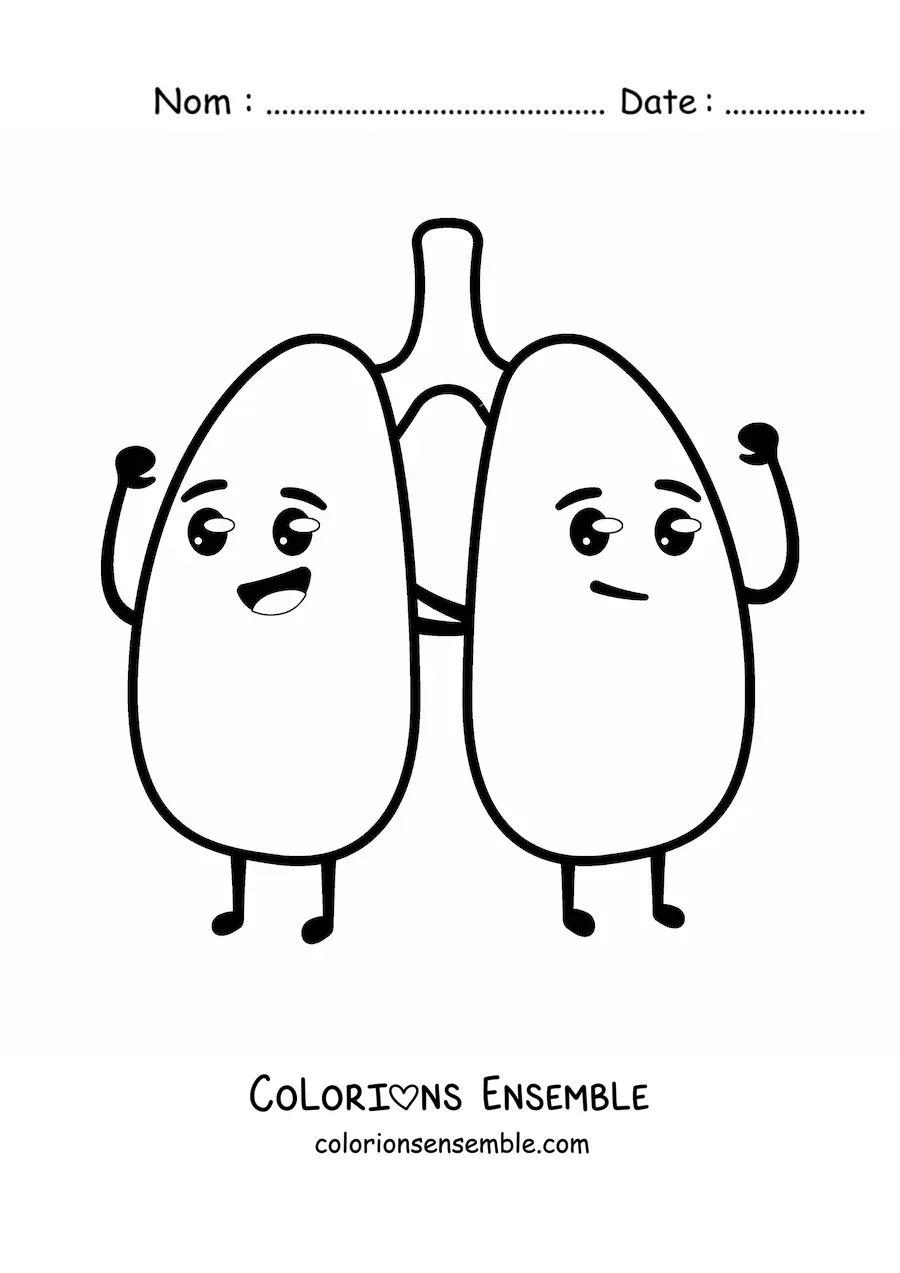 Image à colorier de poumons kawaii animés et en bonne santé