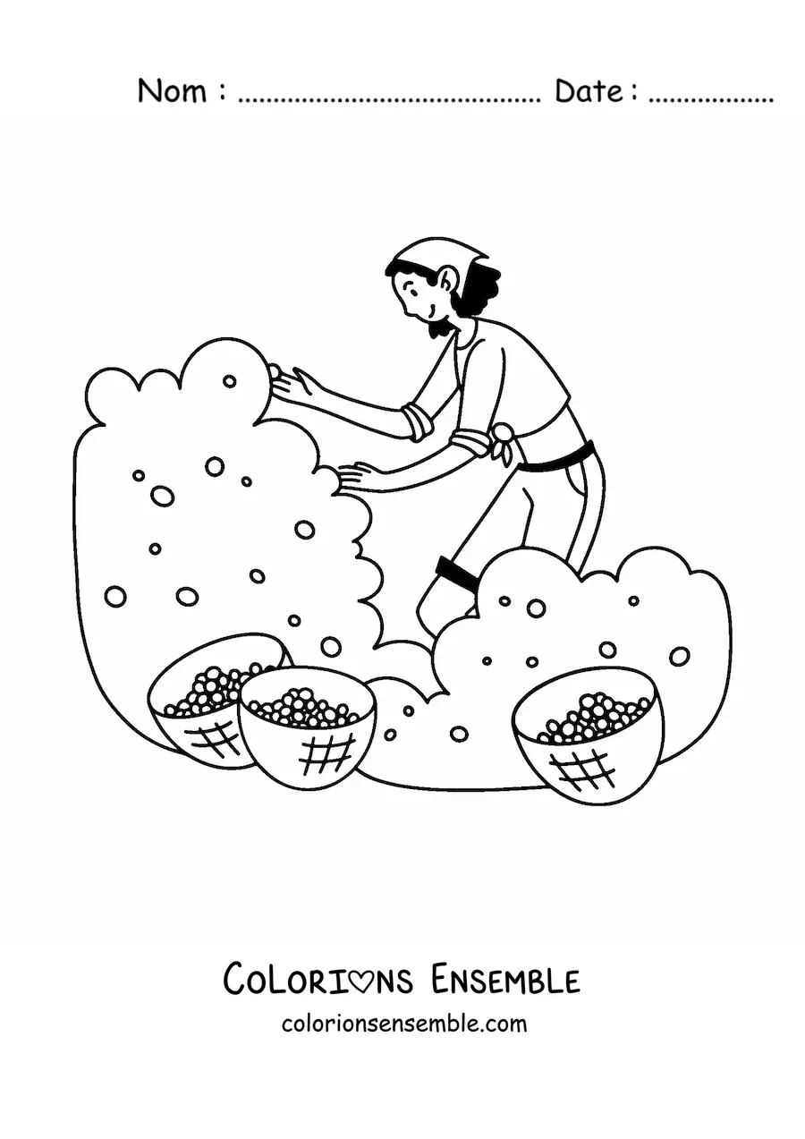 Image à colorier d’une fille qui cueille des fruits dans un champ