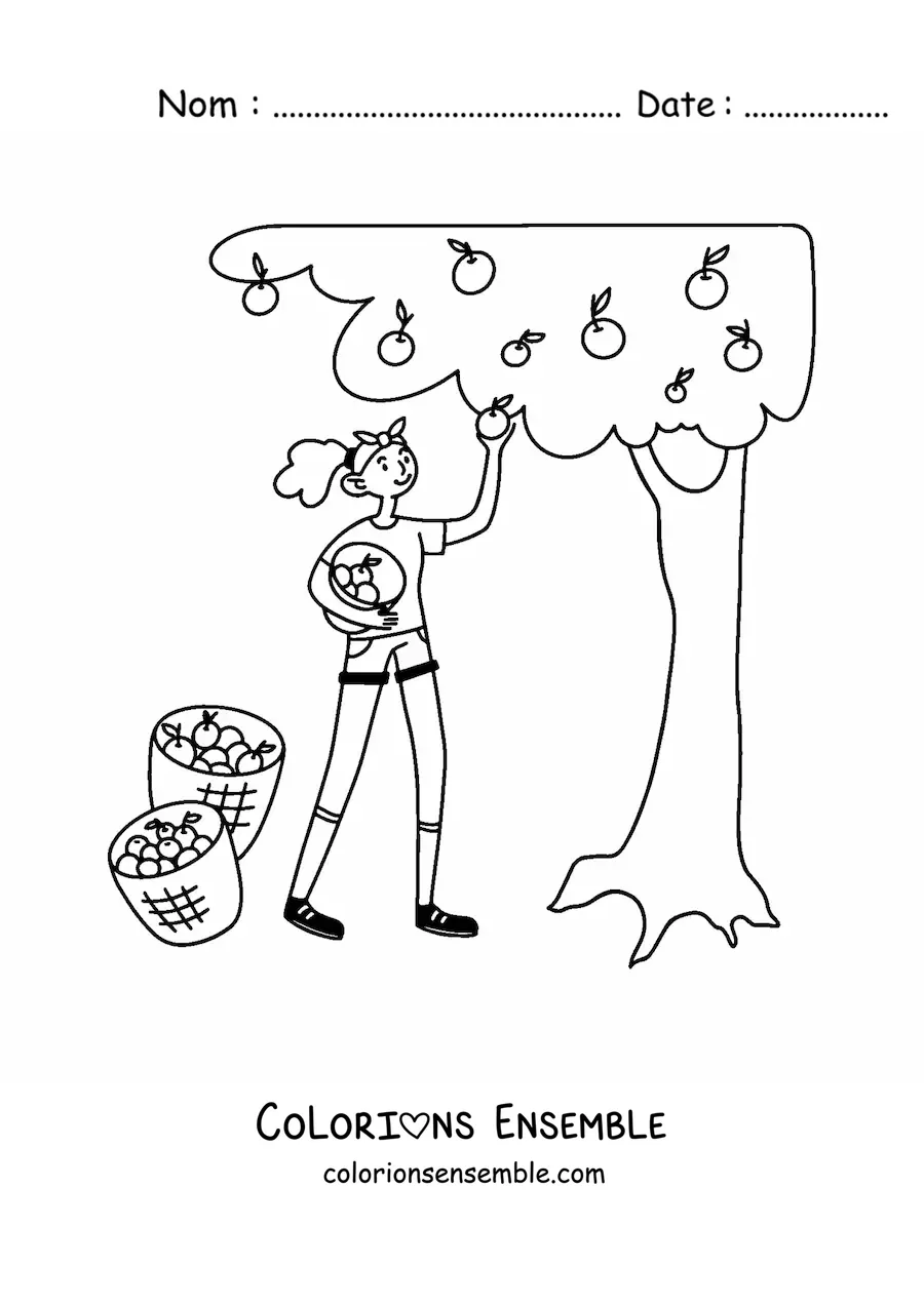 Image à colorier d’une fille qui cueille des pommes dans un arbre
