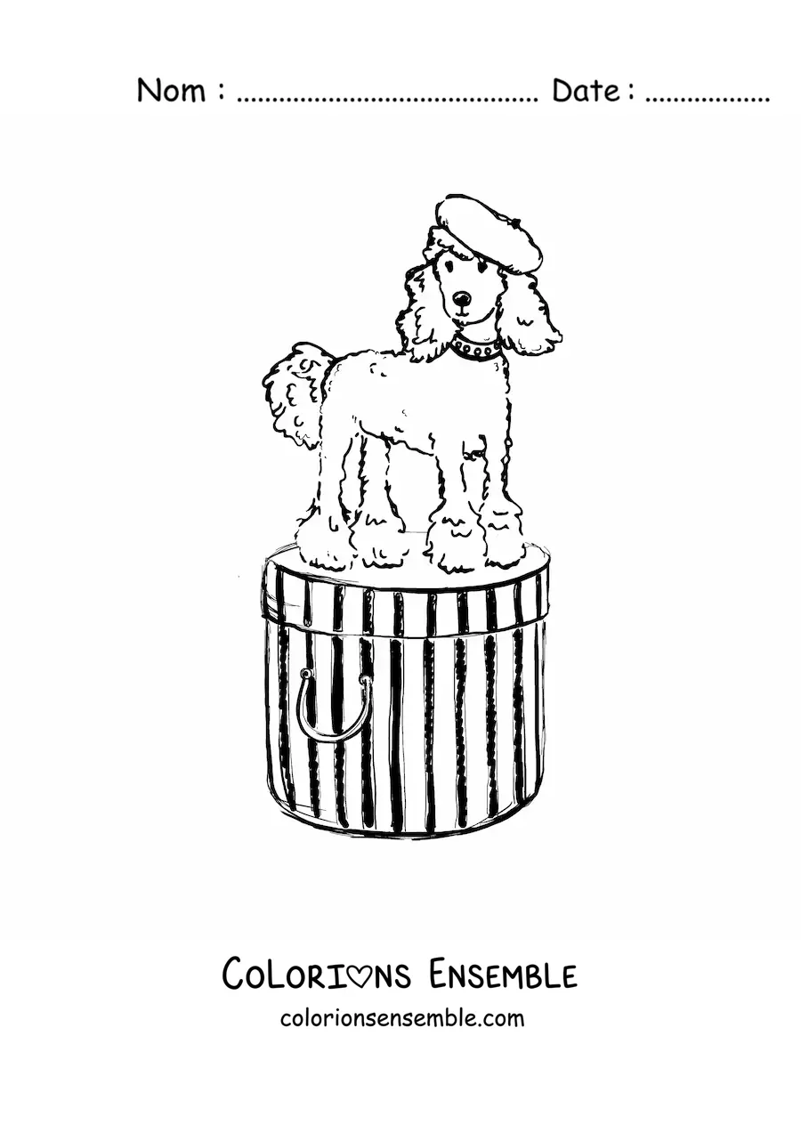 Image à colorier d'un chien caniche