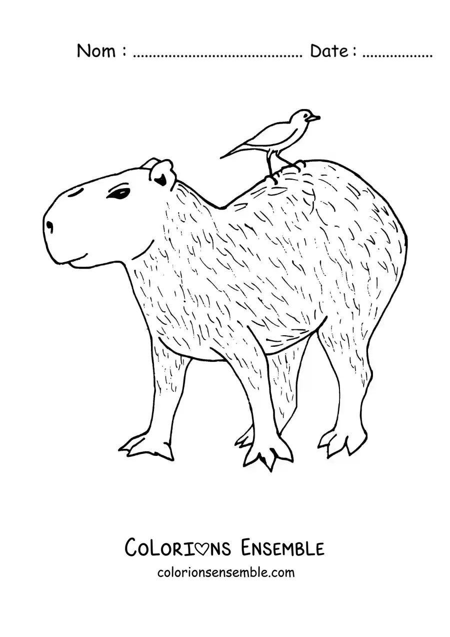 Image à colorier d’un capybara animé