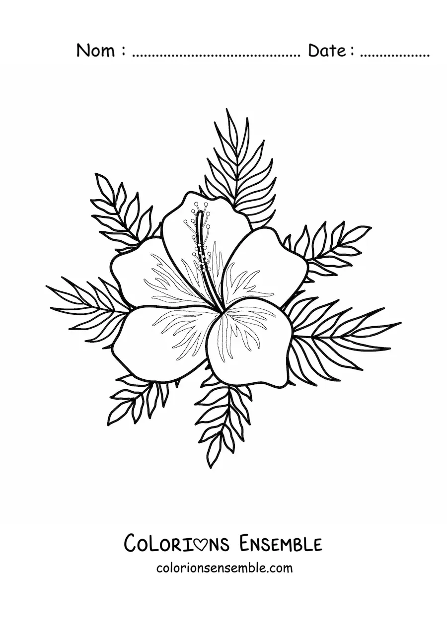 Image à colorier d'une fleur hawaïenne facile avec des feuilles