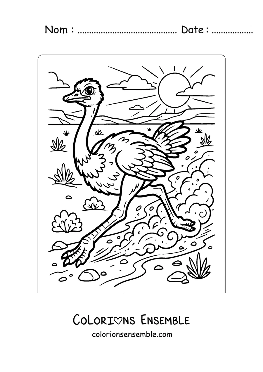 Coloriage d'une autruche qui court dans le désert
