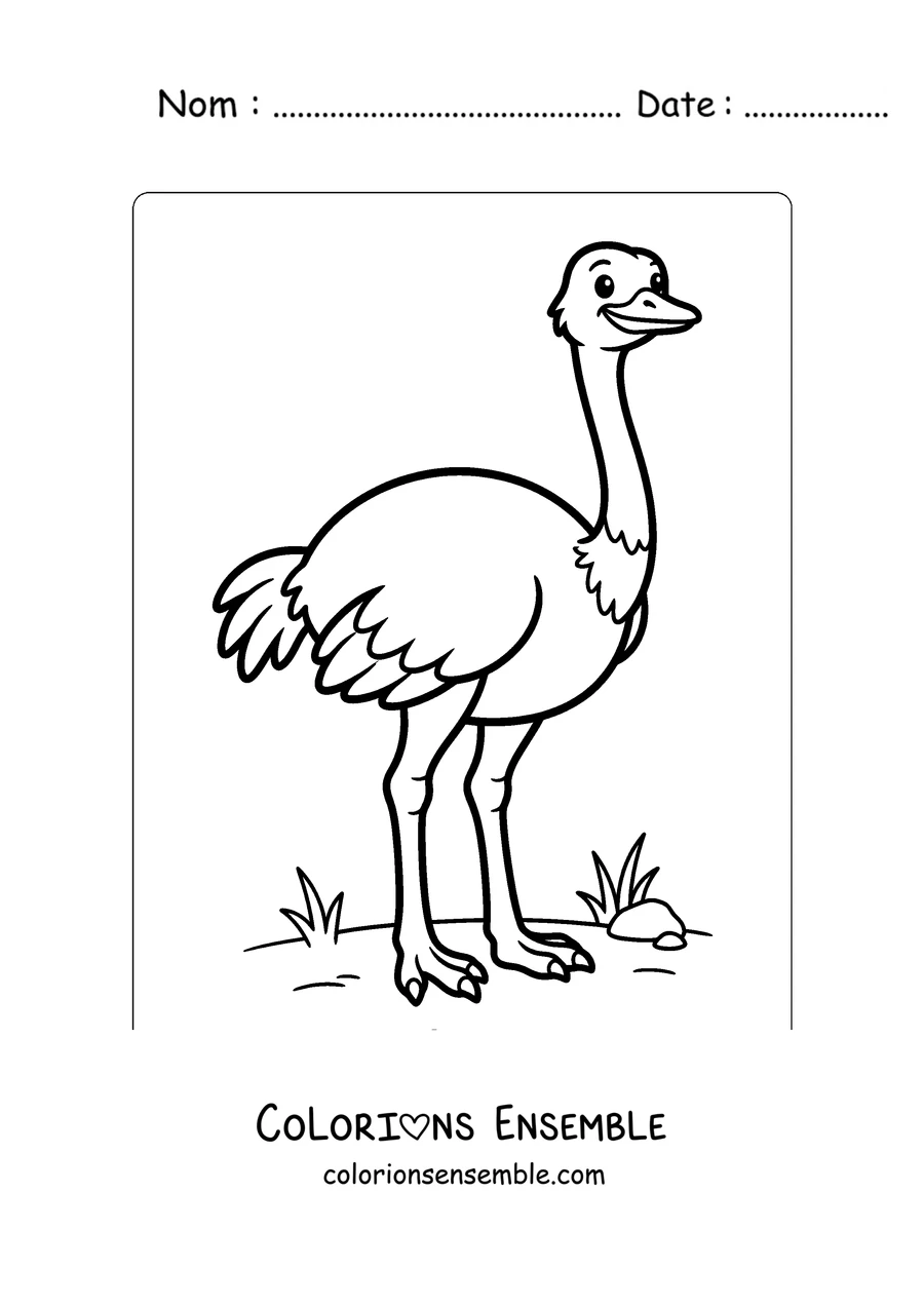 Coloriage d'une autruche simple pour les petits