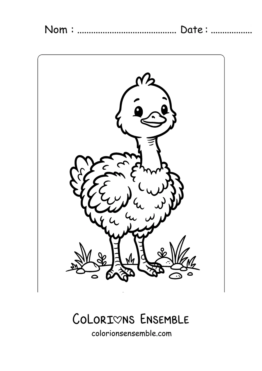 Coloriage d'un bébé autruche tout doux