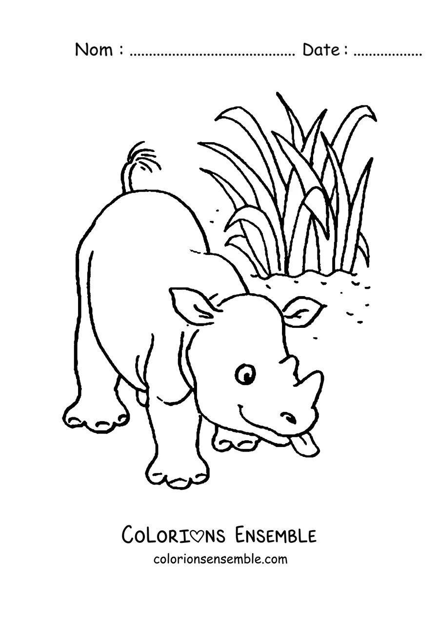 Coloriage d'un bébé rhinocéros et de sa maman qui broutent