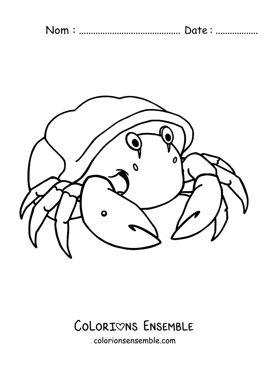 Coloriage d'un bernard-l'ermite dans son coquillage