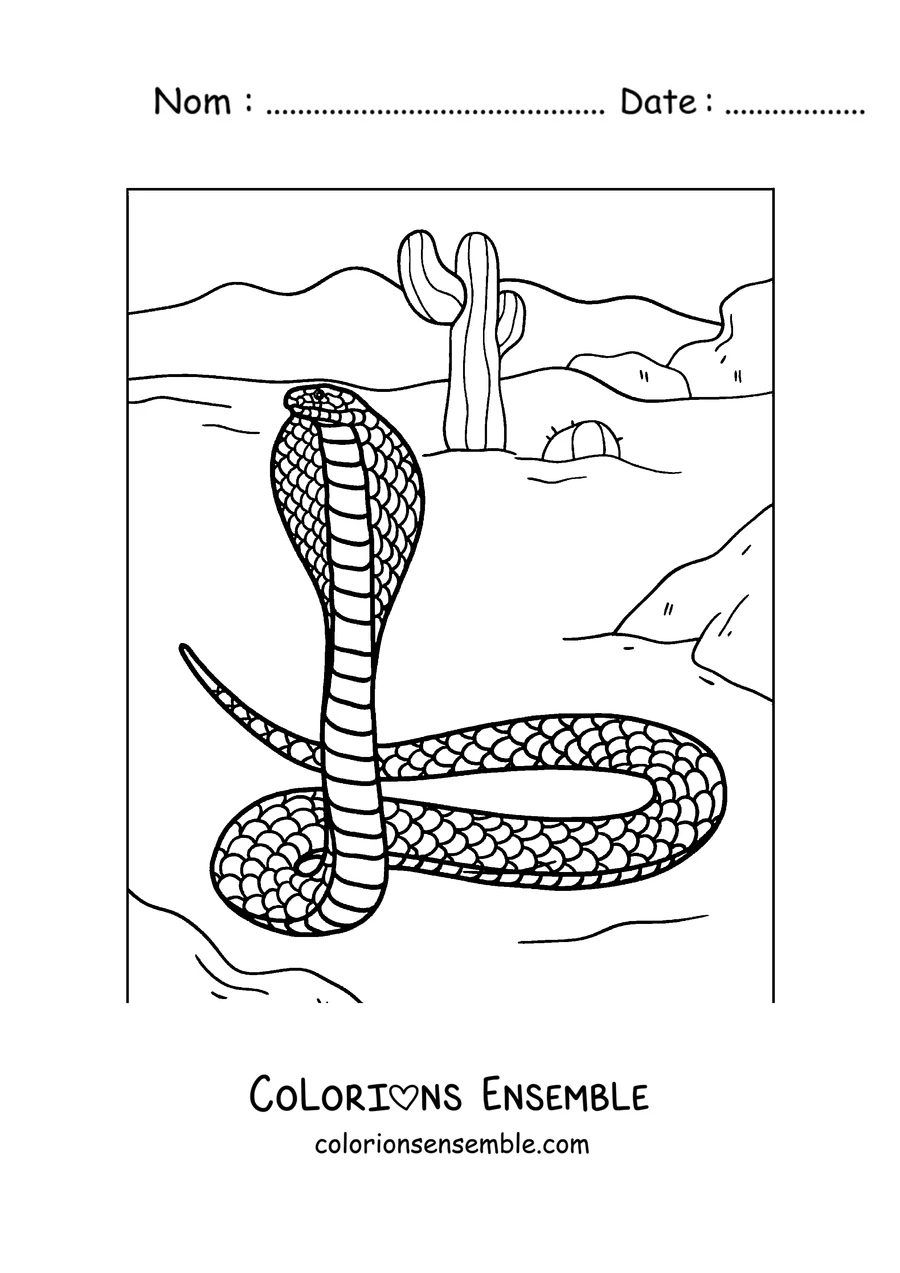 Coloriage d'un cobra au capuchon déployé