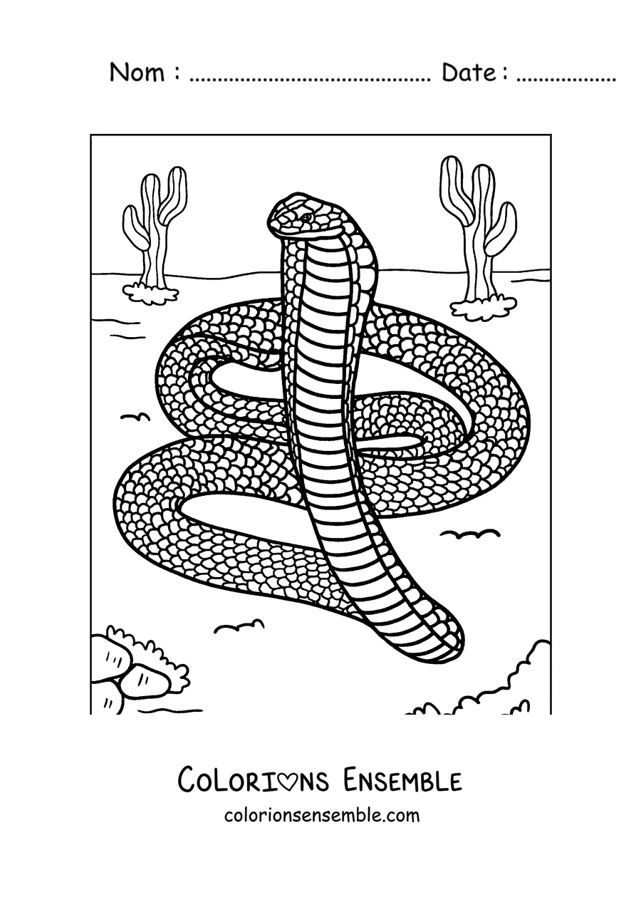 Coloriage d'un cobra royal enroulé dans le désert