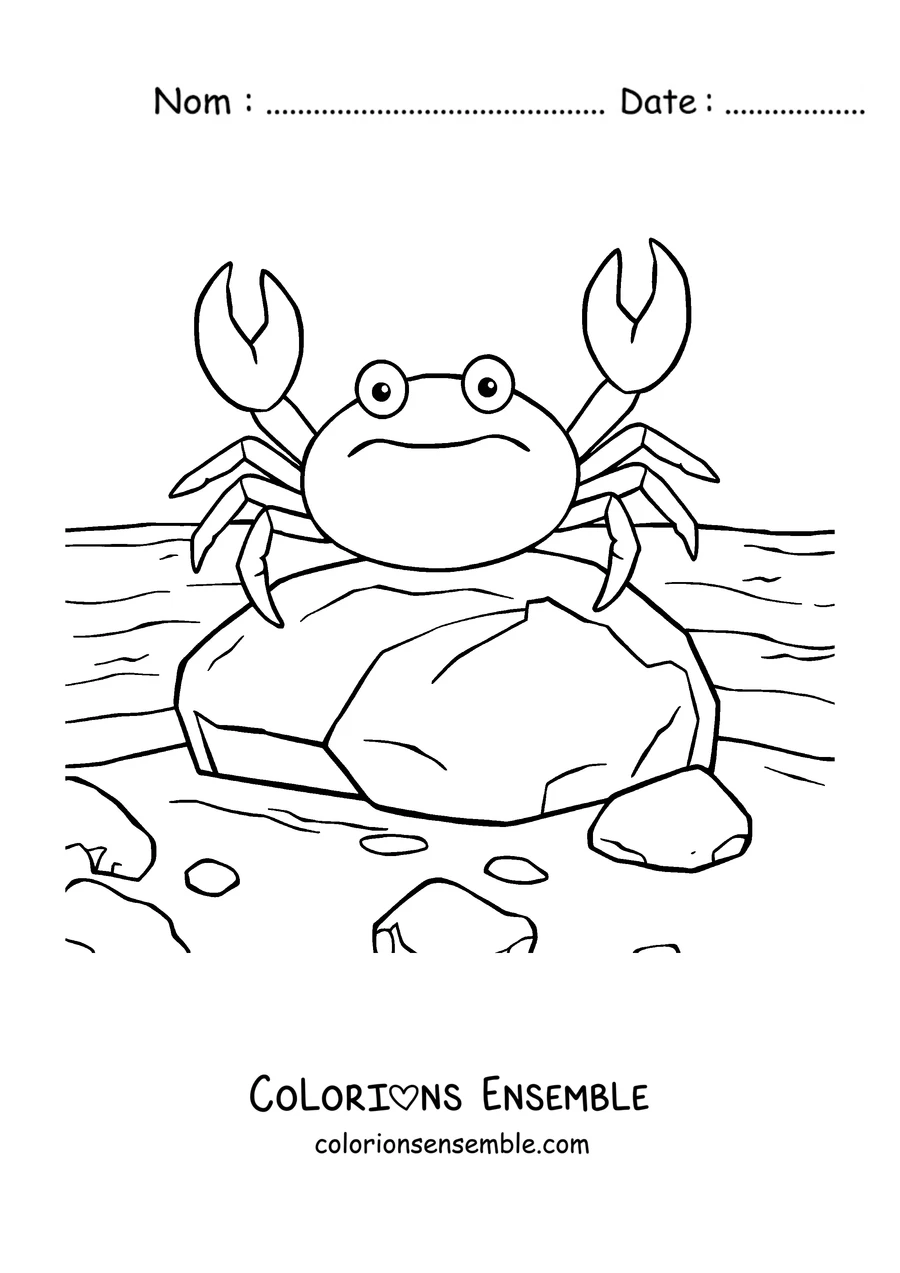 Coloriage d'un crabe sur un rocher au bord de l'eau