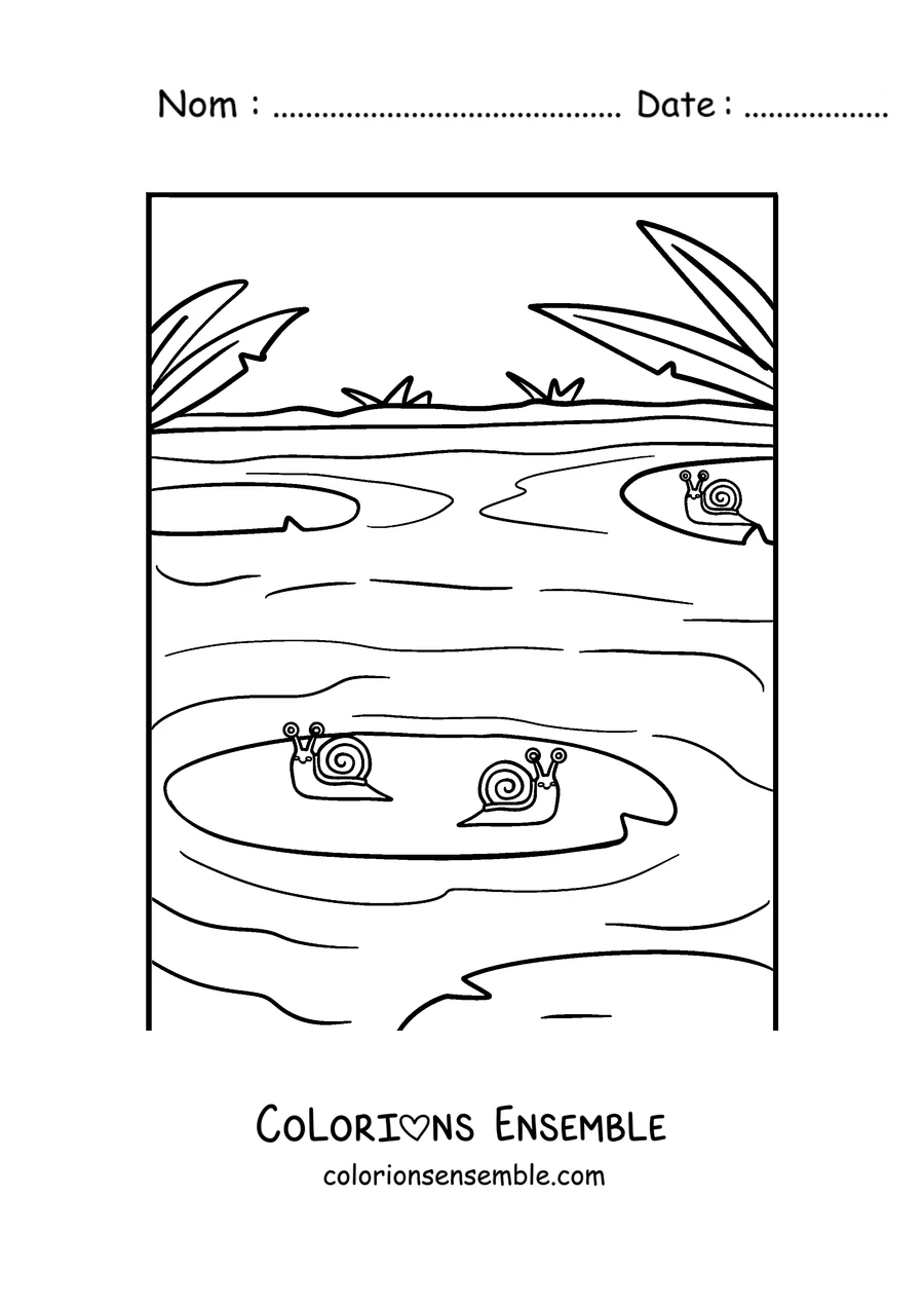 Coloriage d’un escargot au bord d’un étang avec des nénuphars