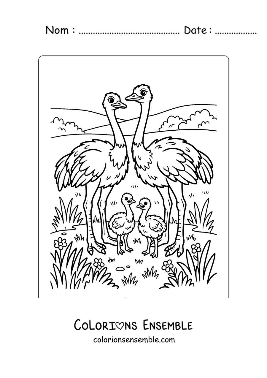 Coloriage d'une famille d'autruches avec ses petits