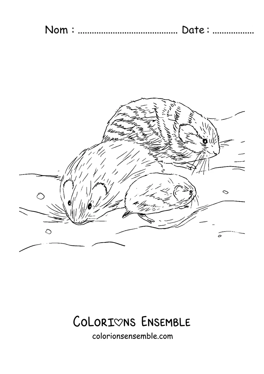 Coloriage d'une famille de lemmings dans la neige