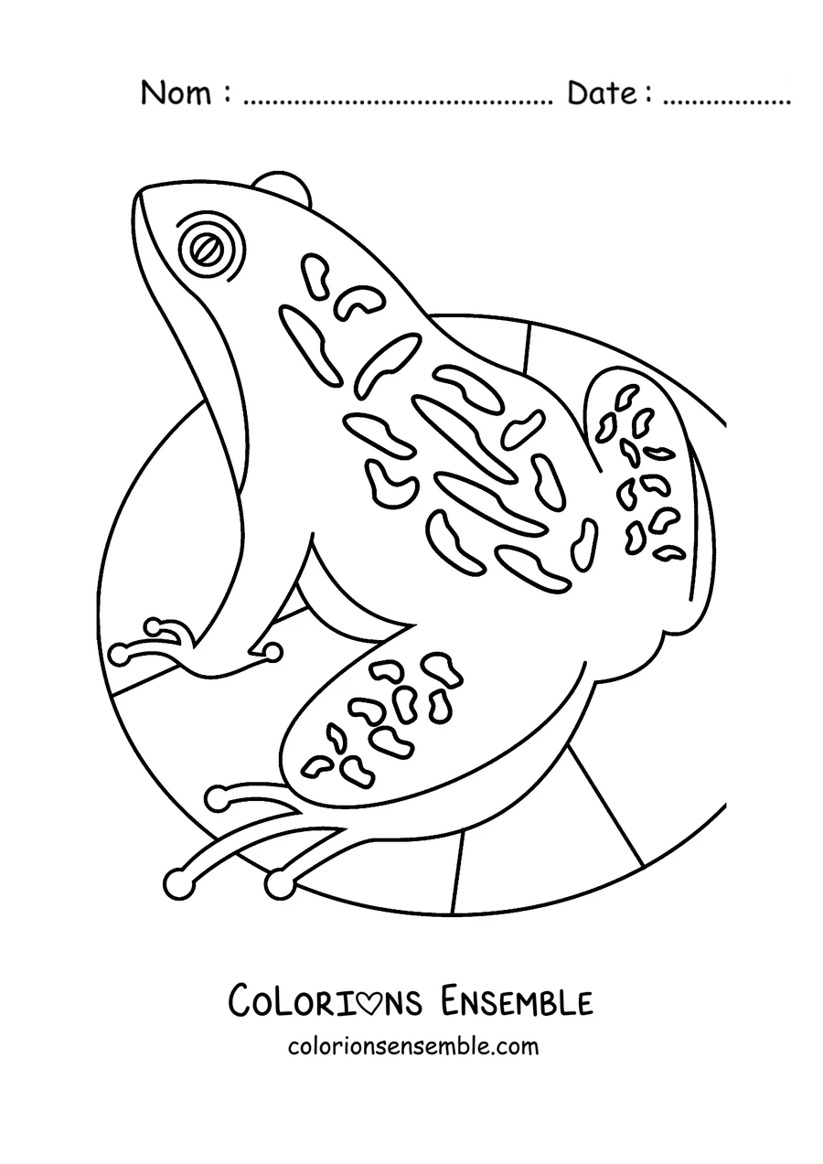 Coloriage d'une grenouille à motifs de mandala sur un nénuphar