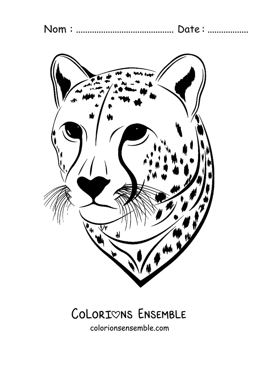 Coloriage en gros plan du visage d'un guépard