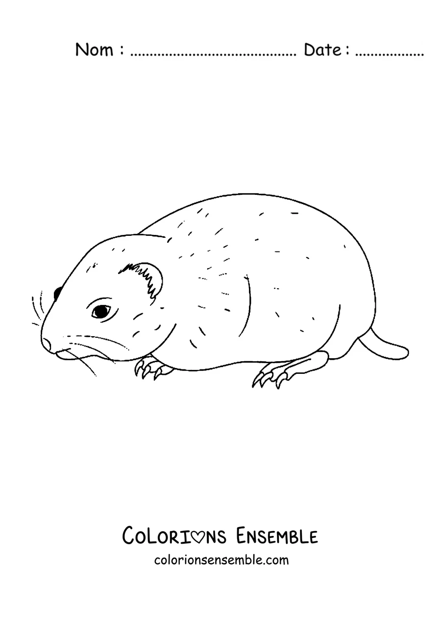 Coloriage d'un lemming qui marche de profil