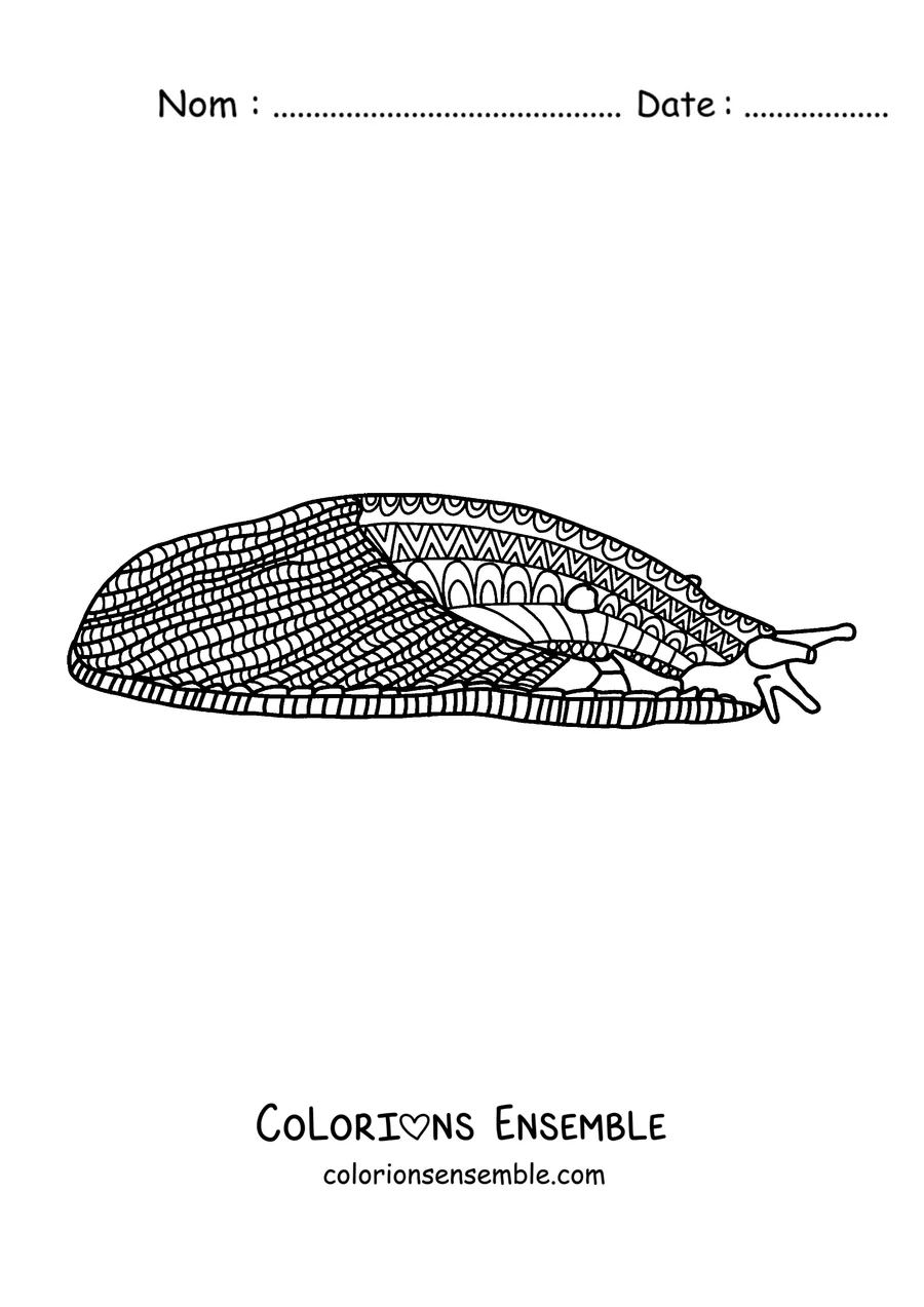 Coloriage d'une limace couverte de motifs pour se détendre