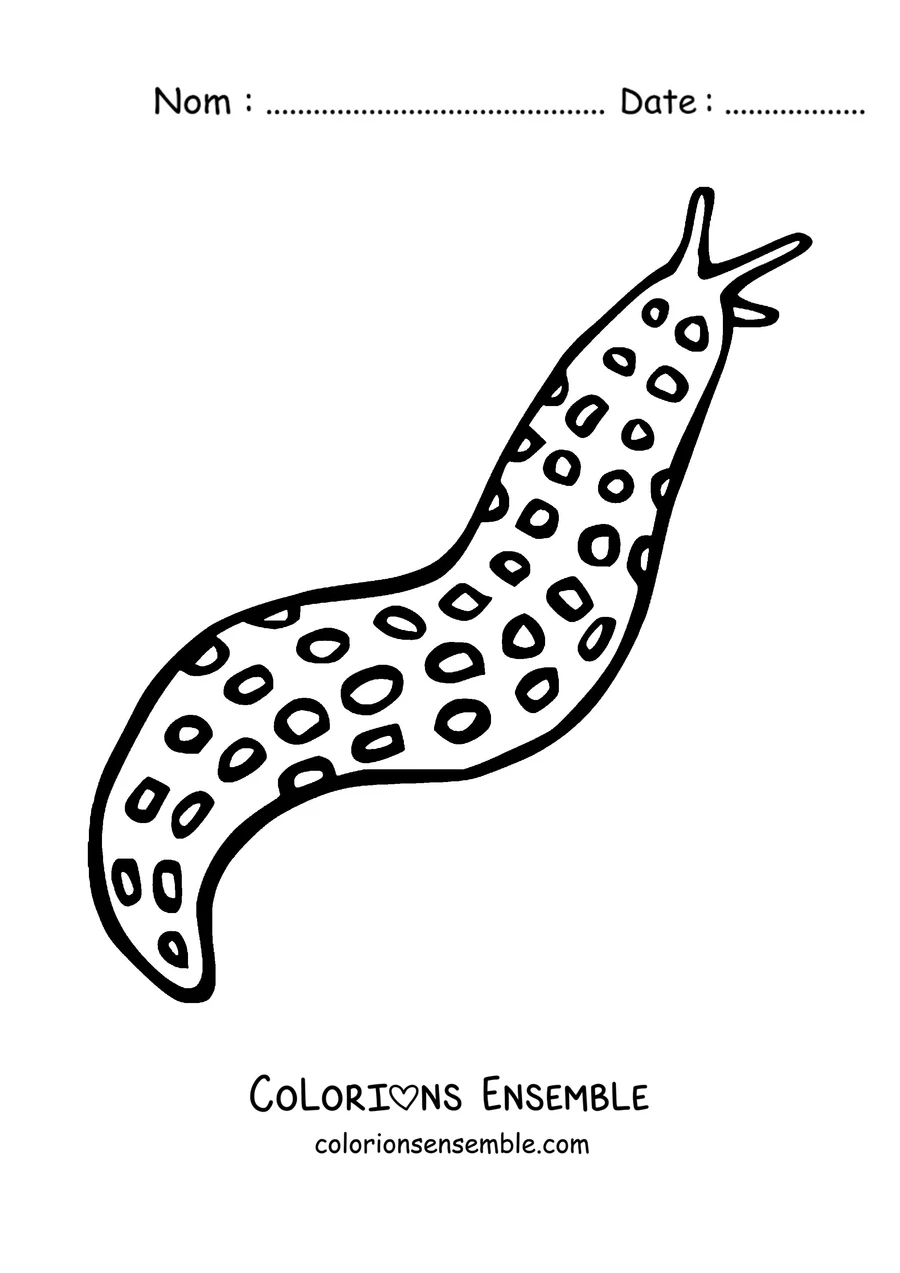 Coloriage d'une limace léopard couverte de taches