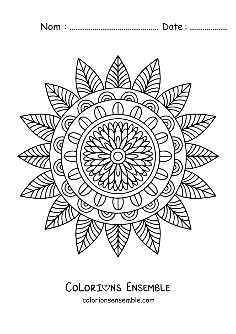 Coloriage d'un mandala d'automne en forme de tournesol avec des pétales pointus