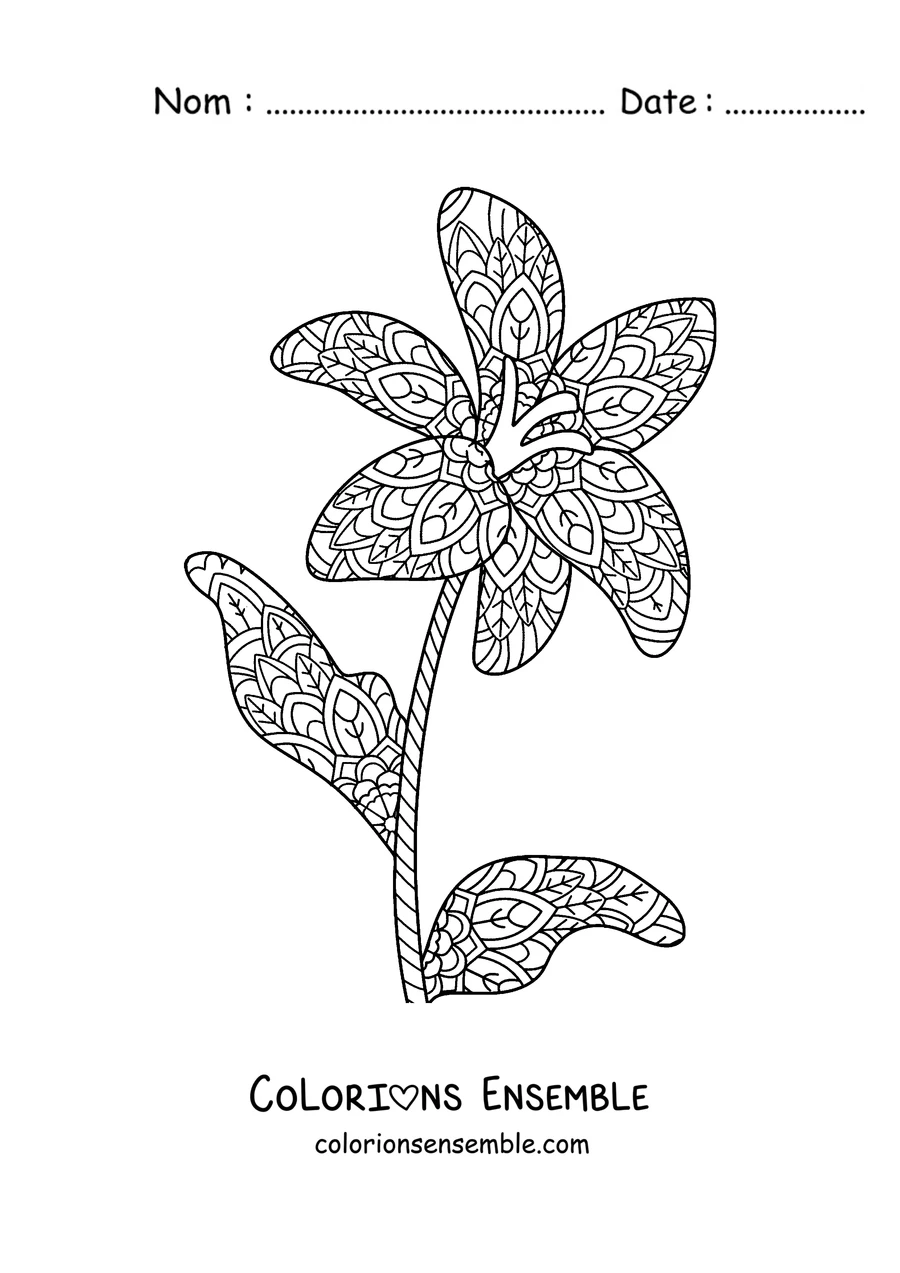 Coloriage d'un mandala de printemps en forme de lys avec des feuilles et des motifs
