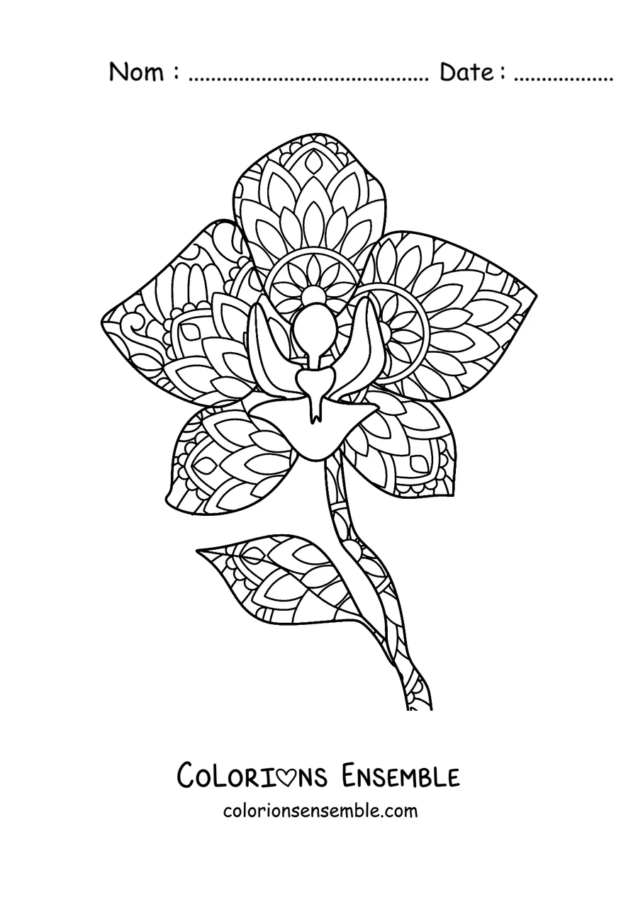 Coloriage d'un mandala de printemps en forme d'orchidée aux pétales décorés