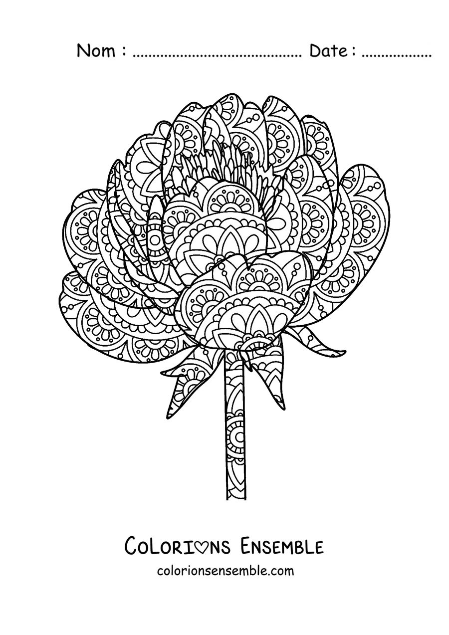 Coloriage d'un mandala de printemps en forme de pivoine remplie de pétales détaillés