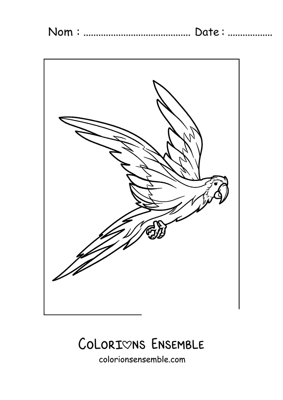 Coloriage d'un perroquet volant les ailes grand ouvertes