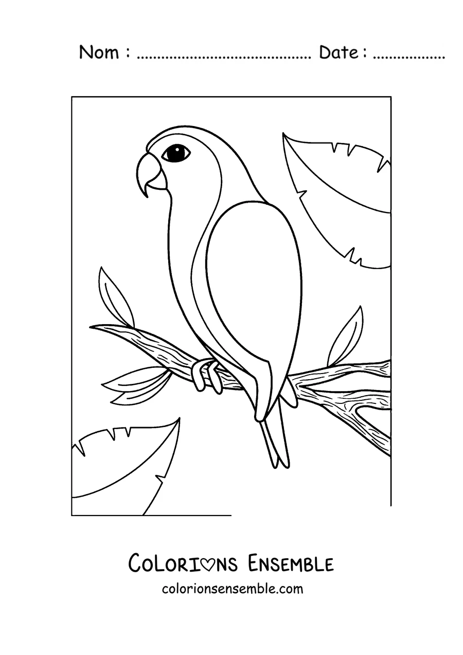 Coloriage d'un perroquet en contour simple perché