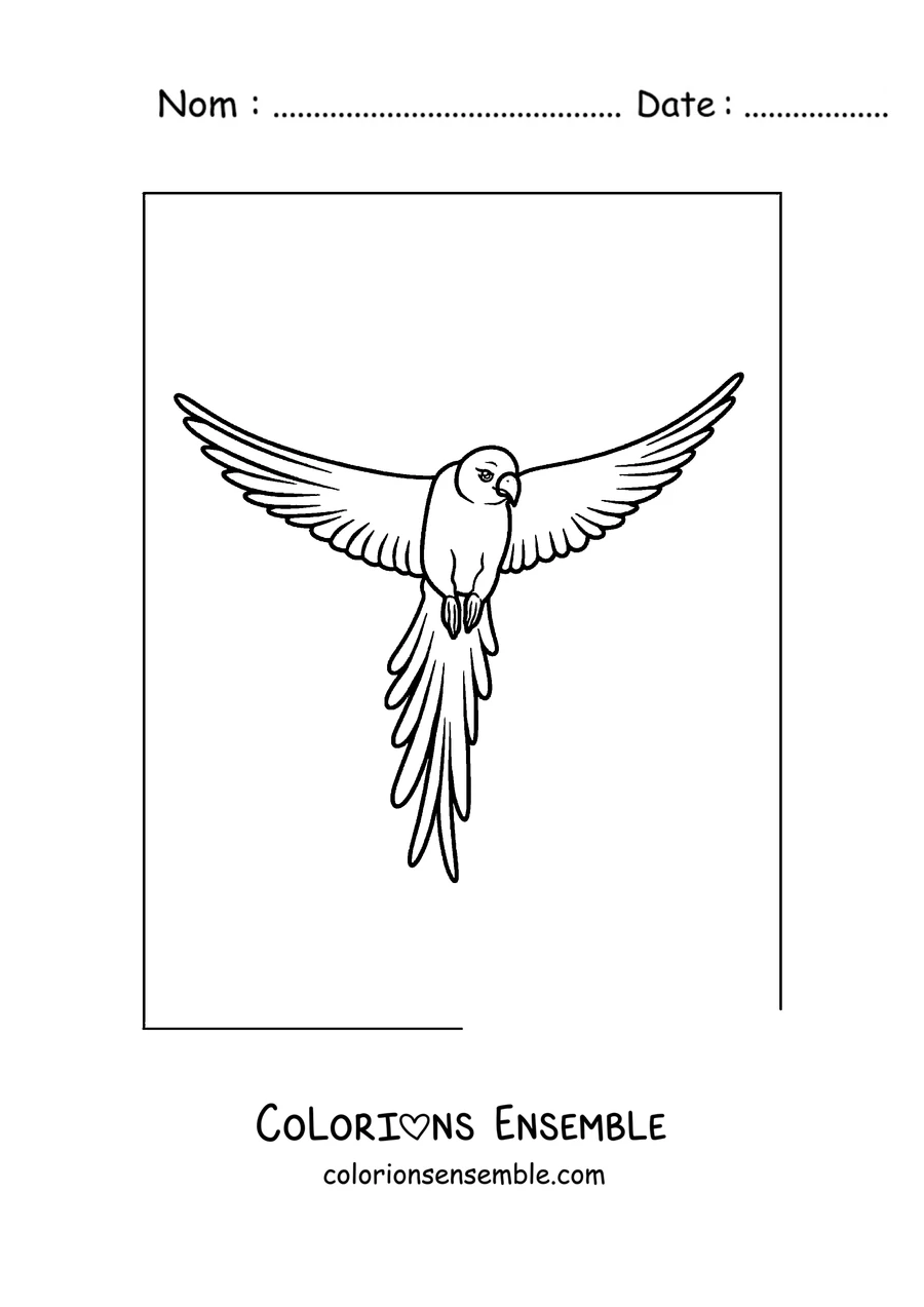 Coloriage d'un perroquet en contour simple en vol