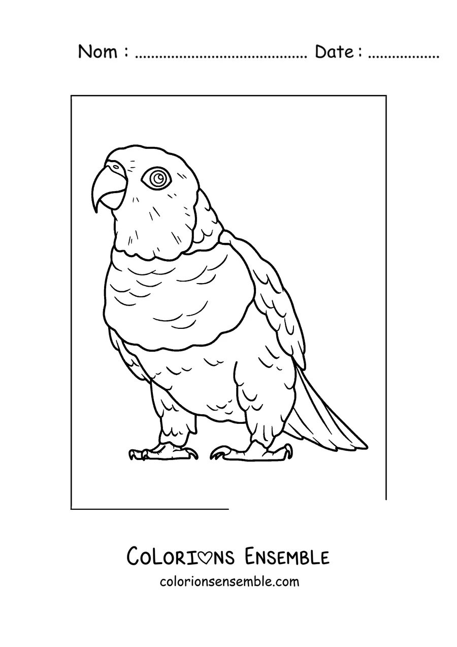 Coloriage d'un perroquet dodu debout en entier