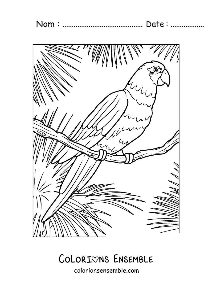 Coloriage d'un perroquet perché parmi des feuilles tropicales