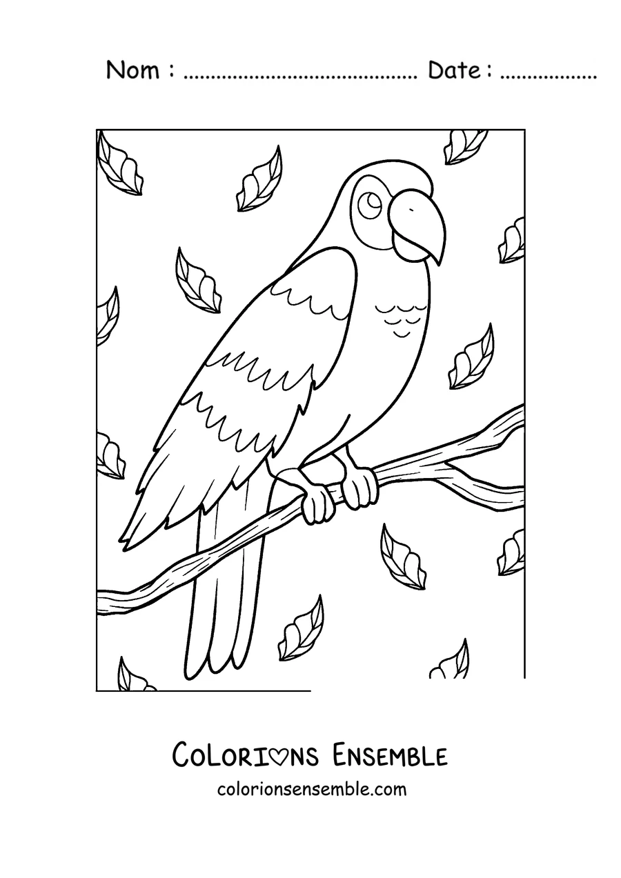 Coloriage d'un perroquet posé au milieu des feuilles